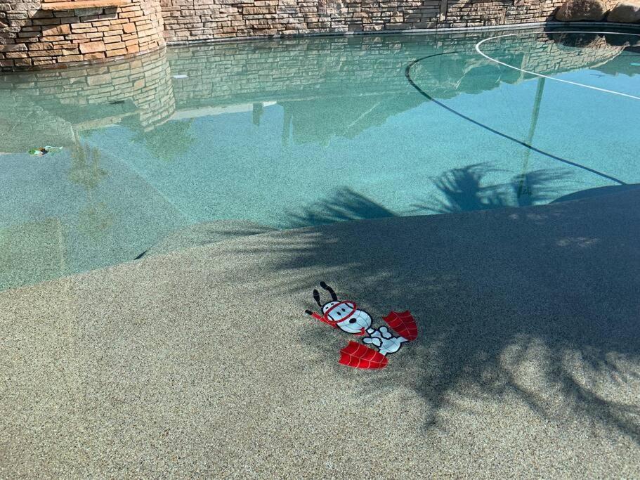 Ultimate Backyard-Pool/Spa. Slide. Lakeview. Ball Lake Havasu City Dış mekan fotoğraf